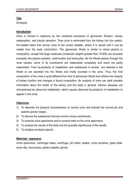 master urinalysis lab report